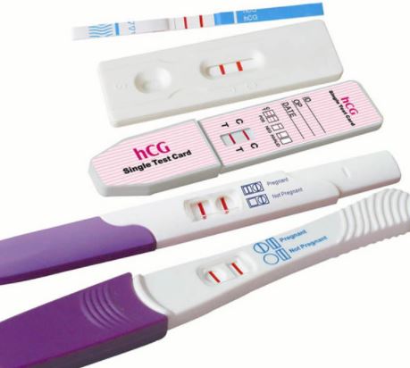how pregnancy test works 1
